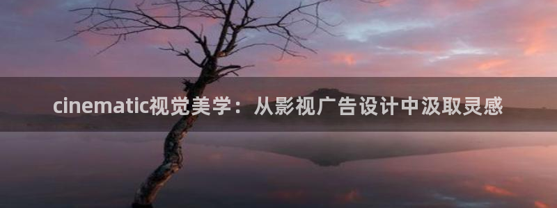 .蓝莓视频