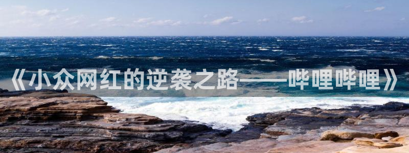 蓝莓视频观看：《小众网红的逆袭之路——哔哩哔哩》