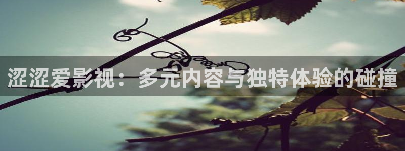 蓝莓小视频.