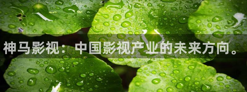 蓝莓视频看