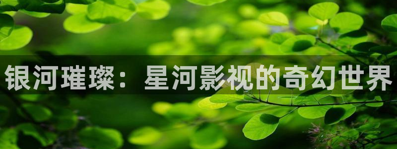 蓝莓免费网站
