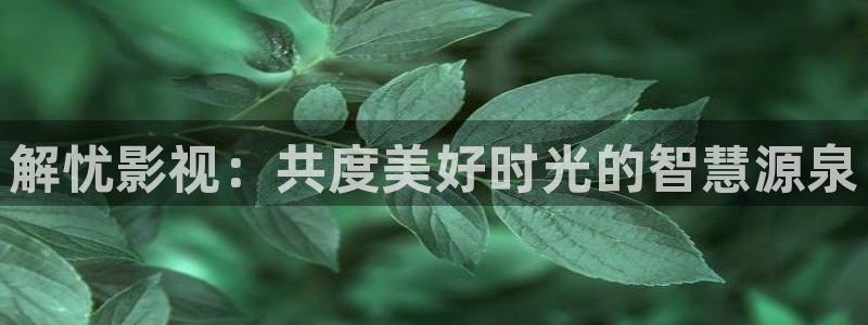 蓝莓视频最新网址：解忧影视：共度美好时光的智慧源泉