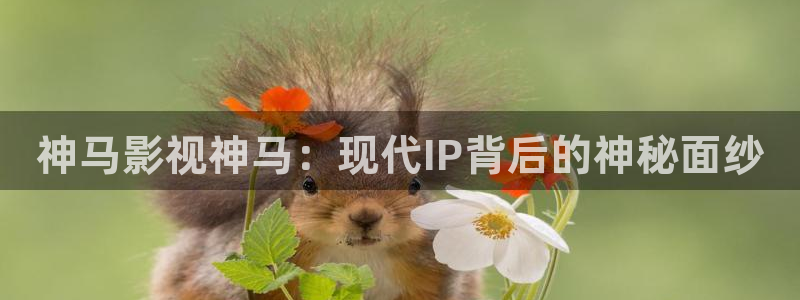 麻江蓝莓视频