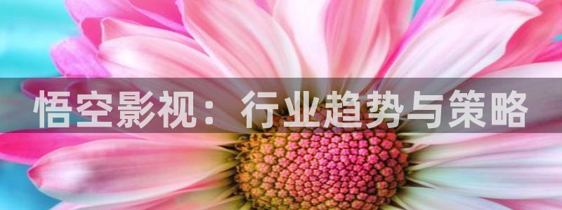 高清码蓝莓视频：悟空影视：行业趋势与策略