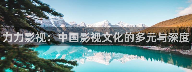 蓝莓电影网：力力影视：中国影视文化的多元与深度